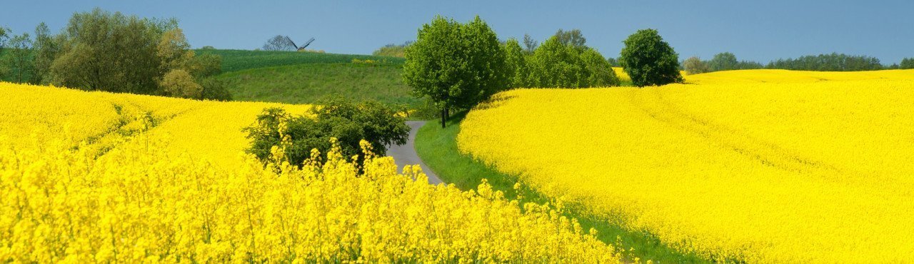 Altenpflegeheim Rickling Anfahrt